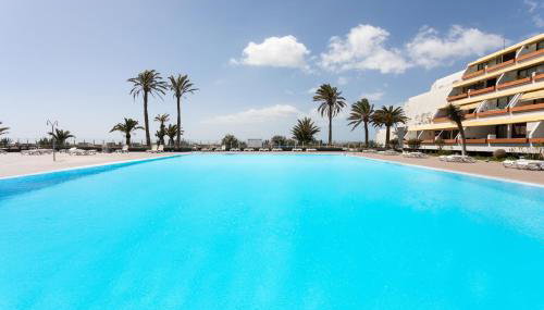 AMAZING SEASIGHTS - TENERIFE - Foto 4