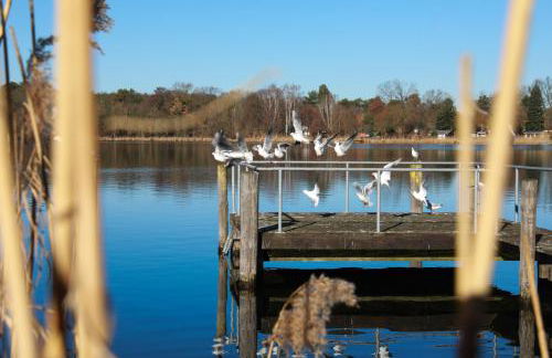 Ferienhaus Caputh - Foto 13