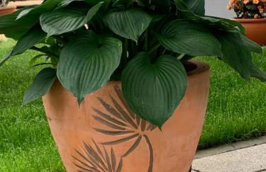 Businesswohnungen Haag bei A7 - Foto 19