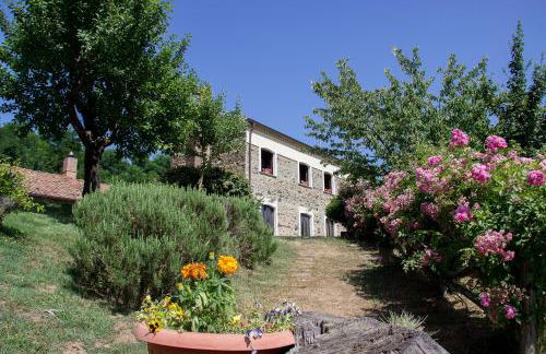 La Rosa Nel Bicchiere - Foto 1