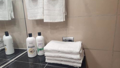 Charming Lakefront stunning View north Chicago - Foto 5