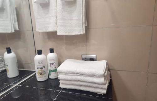 Charming Lakefront stunning View north Chicago - Foto 5