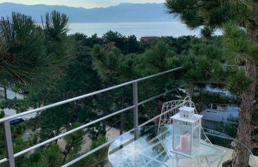 Shimmer & Shine - Foto 21