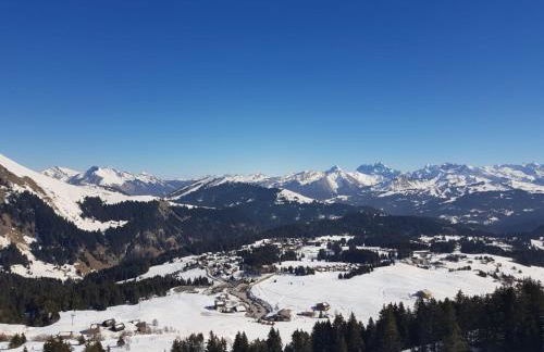 studio cabine Praz de Lys - Foto 9