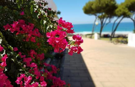 Apartamentos El Arrecife - Foto 53