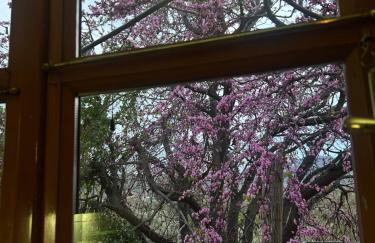 Spacious n comfortable Aloe Vera farm house - Photo 12