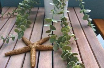 Orion Studios - Foto 39