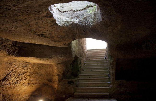 Tenuta Terenzano - Photo 12