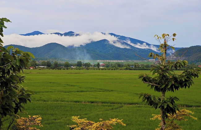 Doona Resort - Photo 2