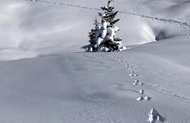 6ème PISTE - Foto 9