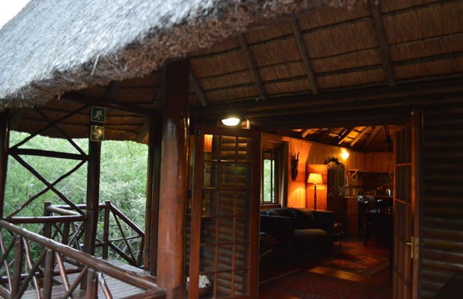 Lion Tree Bush Lodge - Foto 34