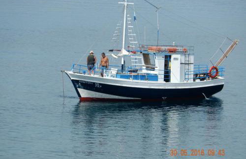 Argo - Mythos - Photo 5