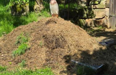 Waitzdorfer Landhaus Pieper - Foto 36