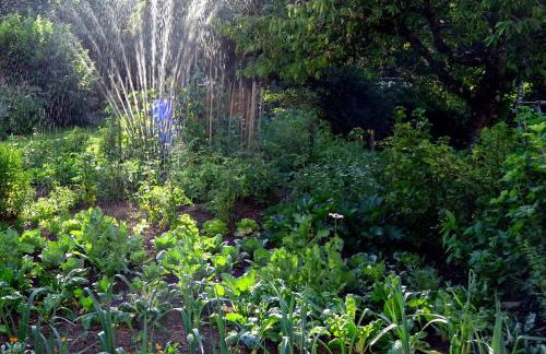 Residence Perwanger - Foto 31