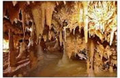 Les pruniers de la cipière - Foto 77