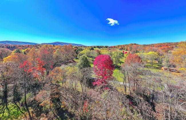 Mariposa Moon Cottage at Sleepy Creek - Foto 50