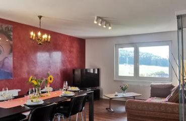 Südschwarzwald Ferienhaus für Gruppen & Monteure - Foto 15