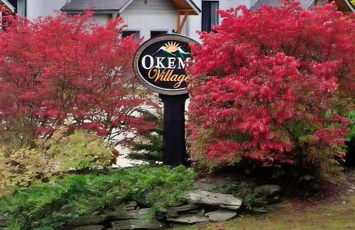 Okemo Village B5 - Foto 5