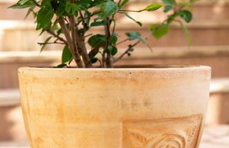 Apartment One - Foto 54