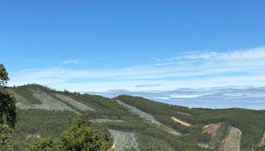 A Vossa Casa - Photo 3