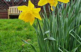 Turtle Lodges 29 - Riverside - Foto 1