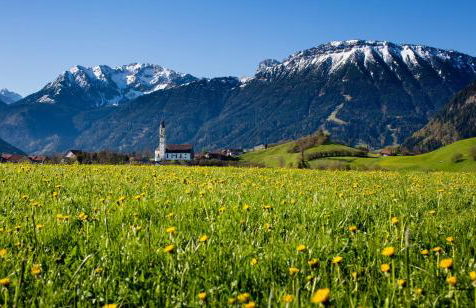 Alpenstern Ferienwohnung - Photo 20