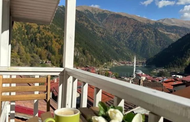 SUIT RABANDO - Photo 1