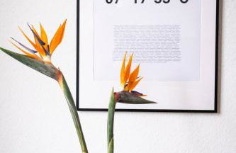 Apartment, Schwelm, Neu, 1 Schlafzimmer, 3 Betten, 1 Badezimmer - Foto 17