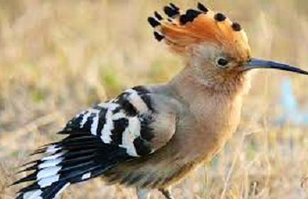 Cozy apartment with lake view, 80 m² - Foto 20