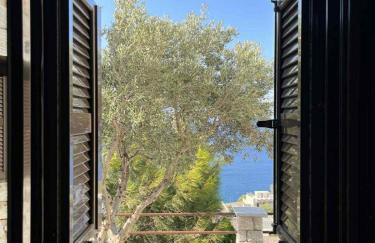 Προσήλιον Κοκκάλα - Prosilion Kokkala - Foto 12