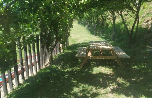 Quinta dos Campos - Apartamento 2 - Foto 24