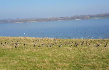 Bolton's Cottage - Foto 22