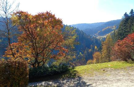 Domek w Jałowcach - Foto 20