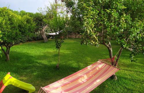 I Ciusiddi - Foto 44