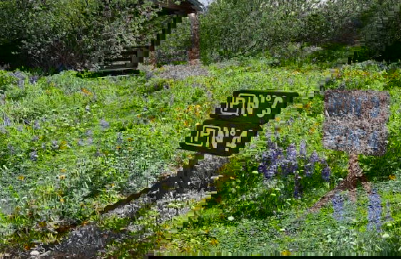 Kaldbaks-kot Cottages - Foto 61