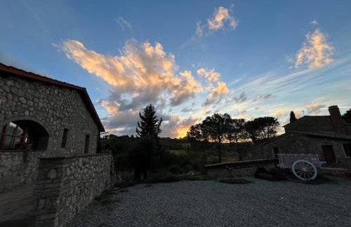 LA COLLINA DEI SAPORI Montepulciano - Photo 56