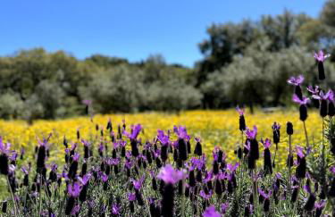 Casa Com Mãos - Foto 63