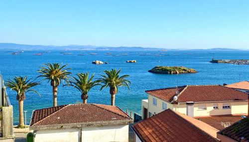 4 Palmeiras - Foto 5