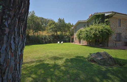 Gio Toscana - Foto 7