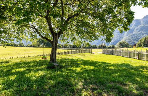 Agriturismo Malga Riondera - Foto 8