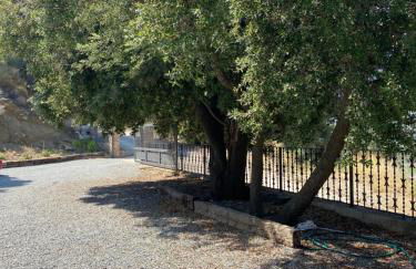 Ca la Sita - Foto 36