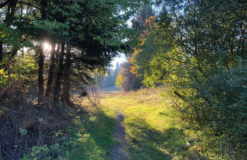 Sowia Enklawa - Foto 39