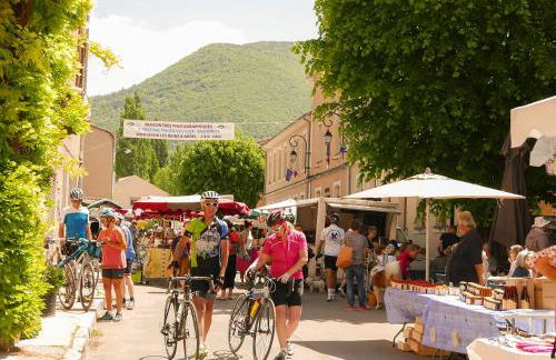 Chateau des Gipières bij de Mont Ventoux - Foto 55