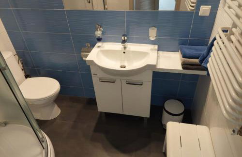 Dolina Miodu - Agro Kaszuby, Sauna, Balia - Foto 9