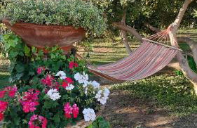Roberta appartamenti "Le Muratelle" - Photo 7