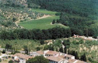 Agriturismo Olmi Grossi - Foto 26