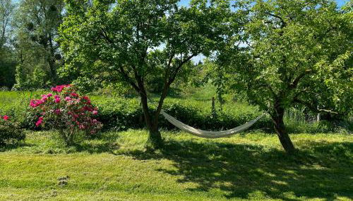 Converted Barn With A View In The Uckermark - Foto 2