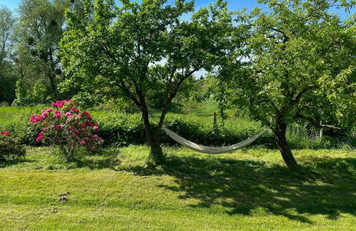 Converted Barn With A View In The Uckermark - Foto 2