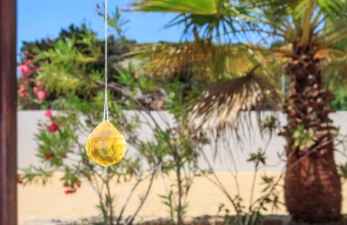 Es Pas Formentera Agroturismo - Foto 114