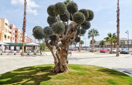 Mar Menor Golf 2 Free Pool, Padel tennis, Gym Yoga etc - Foto 13